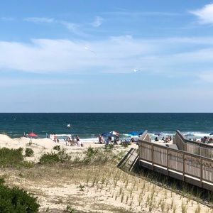 Meet your Posher, Patty